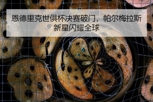 恩德里克世俱杯决赛破门，帕尔梅拉斯新星闪耀全球