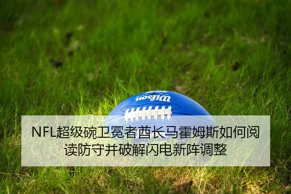 chao-ji-wan-wei-mian-zhe-qiu-zhang-ma-huo-mu-si-ru-he-yue-du-fang-shou-bing-po-jie-shan-dian-xin-zhen-tiao-zheng-2-415.jpg
