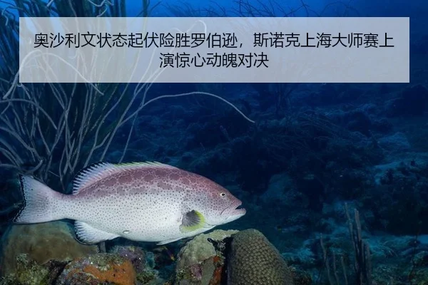 奥沙利文状态起伏险胜罗伯逊，斯诺克上海大师赛上演惊心动魄对决