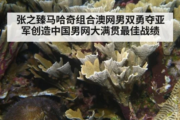 张之臻马哈奇组合澳网男双勇夺亚军创造中国男网大满贯最佳战绩