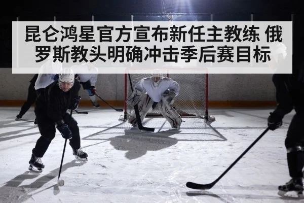 ice hockey game action
